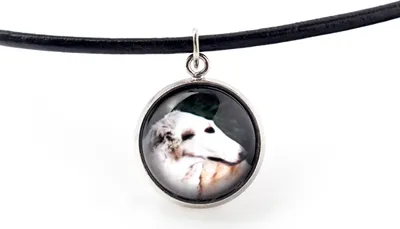 Image de Borzoï - collier avec pendentif et votre photo, bijou artisanal de la marque Art-Dog
