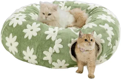 Produktbild von Katzentunnel, zusammenklappbar, für Katzen, grün