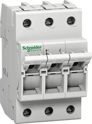 Obrázek produktu pro Pojistkový odpínač Schneider Electric D01, 3P, 16A MGN01316