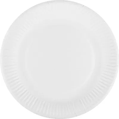 Produktbild von Pappteller aus Frischfaser, plastikfrei, weiß, 23 cm Durchmesser, 10 Stück