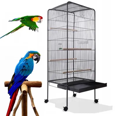 A large bird cage with two parrots, one in flight and one perched.