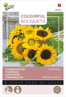 Image de Tournesol Sunlit Days | Mélange de graines de fleurs de Buzzy Seeds