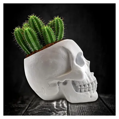 Produktbild von Gift Republic - Totenkopf Planzset