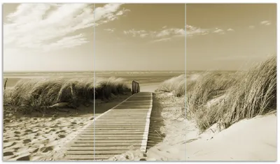 Produktbild von Wallario Herdabdeckplatte aus Glas, Größe 90 x 52 cm 3-teilig, Motiv Auf dem Holzweg zum Strand in Sepiafarben