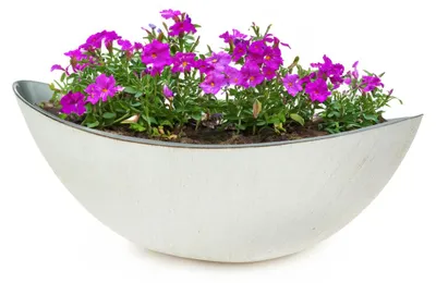 Immagine prodotto di Fioriera ovale grande 55 cm per esterni Ciotola decorativa bianco crema