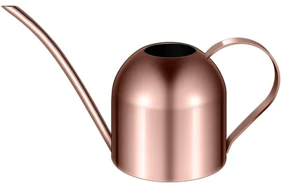 Produktbild von Omgoods - Messing-Gießkannen, 1000 ml - Ideal für Zimmer- und Gartenpflanzen