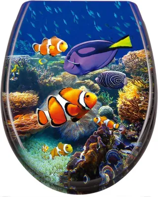 Produktbild von WC-Sitz mit Absenkautomatik Toilettendeckel Toilettensitz aus Hartplastik Antibakteriell Klodeckel aus Duroplast Universal Größe, 14 Bilder zur Auswahl (Süßwasserzierfische)