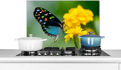 Produktbild von KitchenYeah®  Spritzschutz Küche - Küchenrückwand - Wandschutz für Herd und Spüle - Schmetterling - Blume - Tier - Insekt 70x50 - Alu-Dibond (Alternative zum Spritzschutz aus Glas) - Hitzebeständig -