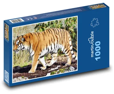 Produktbild von Puzzle 1000 Tiger in der Wildnis - martinpuzzle