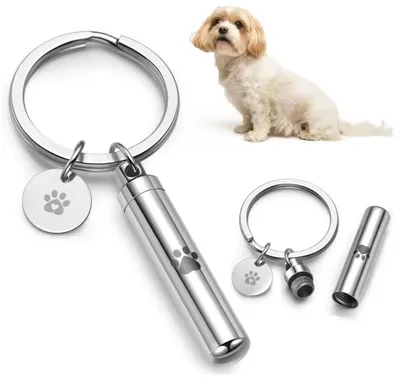 Produktbild von Schlüsselanhänger Edelstahl Tier Hund Urne Asche Silber Hochglanz