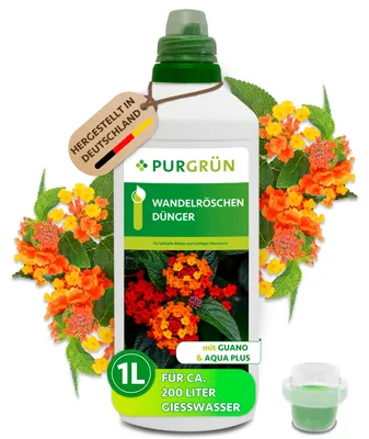 Produktbild von Purgrün Wandelröschen-Dünger 1 Liter