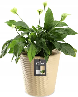 Zdjęcie produktu dla KADAX Donica Doniczka Osłonka Na Kwiaty Beżowa 35 cm