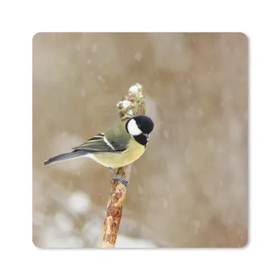 Produktbild von MuchoWow® Mauspad Mousepad Große Meise im Schnee 20x20 cm - Mousepads - Maus Mat - Pad - Mausunterlage - Desk Mat - Bureauartikeln