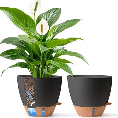 Immagine prodotto di Vaso autoirrigante da 30 cm, colore nero, set da 2, con indicatore del livello dell'acqua