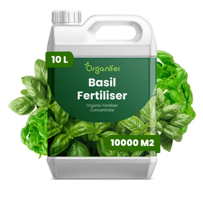 Produktbild von Flüssigdünger für Basilikum 10L – 2-1-8 NPK – Flüssigdünger Für Kräuter & Gemüse – Für Kräftige Blätter & Aromatische Kräuter – Organifer