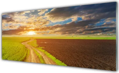 Produktbild von Acrylglasbilder 125x50 Wandbild Druck Acker Fußpfad Landschaft