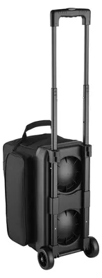 Immagine prodotto di Borsa da bowling SucceBuy per 2 palle con ruote, scomparto separato per scarpe (fino alla taglia 16 USA) e ampia tasca per accessori, maniglia estensibile fino a 105 cm, nera