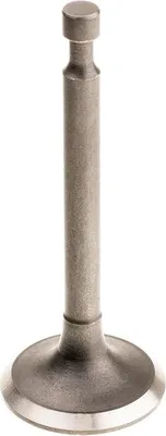 Obrázok produktu pre Sací ventil Cedrus Y196V 480485