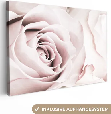 Produktbild von OneMillionCanvasses® - Leinwandbilder - 140x90 cm, Blumen - Rose - Rosa - Botanisch, Wandbilder Kunstdruck Wanddekoration - Foto auf Leinwand - Gemälde auf Holzrahmen