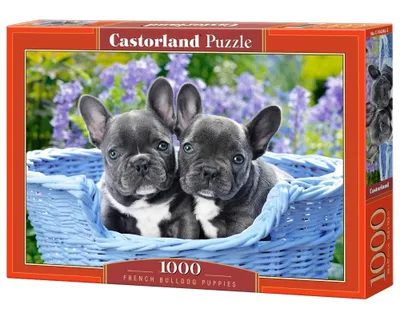 Image de Puzzle 1000 pièces Chiots de Bouledogues Français 104246