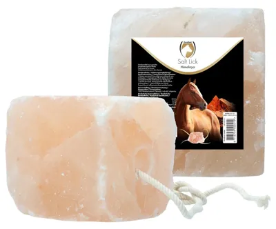 Zdjęcie produktu dla Excellent Horse Salt Lick Himalaya 2-3 kg (z liną)