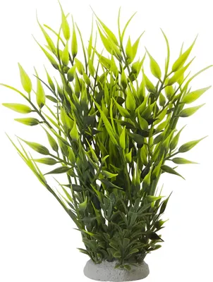 Zdjęcie produktu dla Dekoracja akwariowa Nobby Aqua Ornaments Bamboo, wymiary: 6,5 x 6,5 x 21 cm