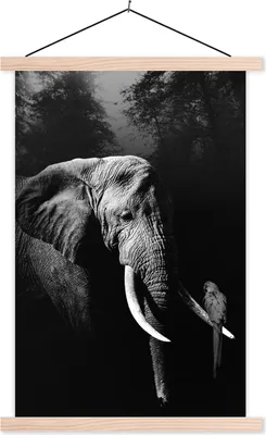Produktbild von MuchoWow® Textilposter Elefant mit Papagei im Wald - schwarz und weiß 60x90 cm mit holzfarbenen Rahmen - Textil