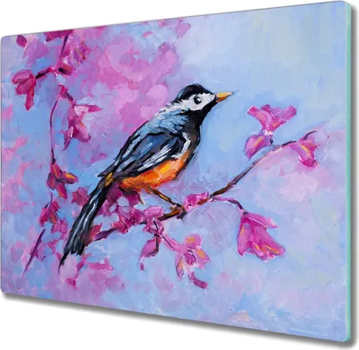 Produktbild von Coloray Hackbrett Küchenbrett Kochplattenabdeckung Schneidebrett Herdabdeckplatte 60x52 cm - Branche Blumen Tier Vogel