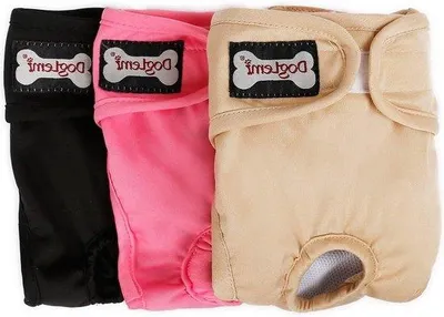 Produktbild von Famanu Hundeunterwäsche Wiederverwendbare Windeln - XL (44-66 cm)