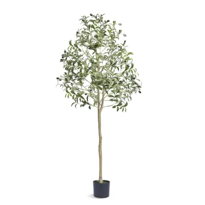 Image de Olivier artificiel 60x60x155 cm - PE Plante artificielle en pot - Plante artificielle - Fausse plante - Plante en plastique - Inodore - Imperméable - Idéal pour décorer la chambre, le bureau, le salon