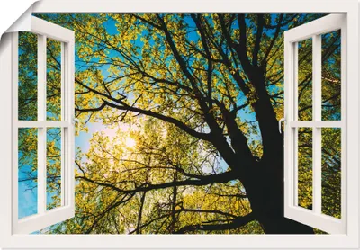 Produktbild von ARTland Poster Fensterblick Frühlingssonne Baumkrone Größe: 100x70 cm