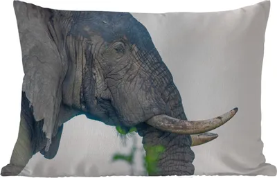 Produktbild von MuchoWow® Outdoor Kissen - Elefant - Tiere - Grau - Natur - 50x30 cm - Wetterfest - Lounge Kissen - Sofa kissen - Wohnzimmer Dekoration