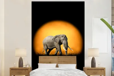 Obrázek produktu pro MuchoWow® Fototapety do obývacího pokoje nebo ložnice tapety vinylové motivy tapety Slon - Slunce - Oranžová 155x240cm