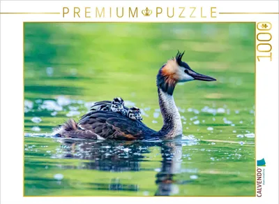 Produktbild von CALVENDO Puzzle Haubentaucher mit Küken | 1000 Teile Lege-Größe 64x48cm Foto-Puzzle für glückliche Stunden