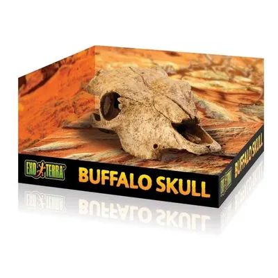 Produktbild von Exo Terra Versteck Buffalo Skull