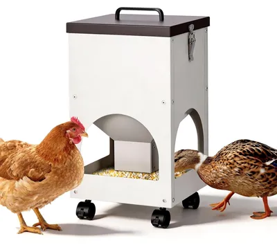 Immagine prodotto di Distributore automatico di mangime per pollame, capacità 8 kg, in metallo
