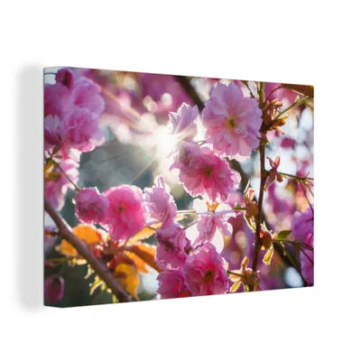 Zdjęcie produktu dla OneMillionCanvasses® - Obrazy na płótnie - 150x100 cm, Sakura - Słońce - Wiosna, Dekoracja ścienna z nadrukiem