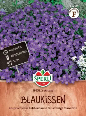 Produktbild von SPERLI Blaukissensamen Azurro Aubrieta x Hybrida 50 Pflanzen