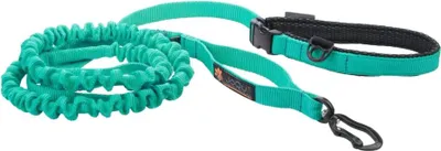 Produktbild von JoQu Ultra Strong Runners Leine für kleine und mittelgroße Hunde mit Ruckdämpfer, Mint