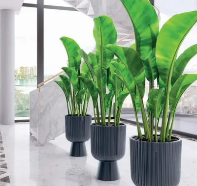 Immagine prodotto di Vaso da fiori rotondo Keli Mika 30 su gamba | Antracite