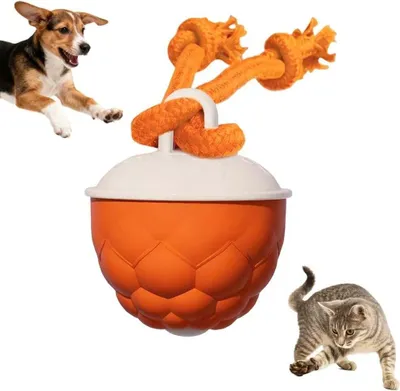 Produktbild von Hundespielzeuge, Interaktives Hundespielzeug: Berührungsaktivierter Hüpf- und Springball mit Seil, USB-aufladbar, quietschendes Hundespielzeug