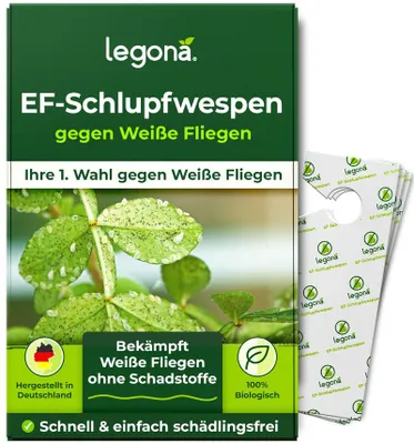 Produktbild von EF-Schlupfwespen gegen Weiße Fliegen - 10 Träger für 100 m² - 3 Lieferungen