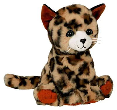 Produktbild von Coppenrath Verlag Katze Cleo