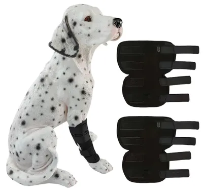 Image de Protection de coude, grande taille