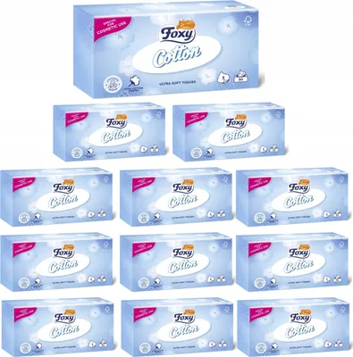 Zdjęcie produktu dla Chusteczki Higieniczne FOXY COTTON Box 90 szt. - 12 op.