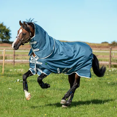 Produktbild von Horseware Amigo Ameco Bravo 12 Plus Medium 250g Turnout Decke mit abhnembarem Halsteil Dark Blue, Größe:6'9