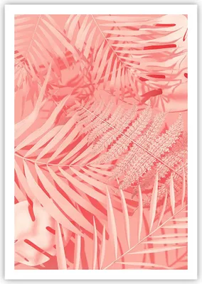 Produktbild von Poster - Poster ohne Rahmen - Rosa Blätter Palmen - 70x100 cm - Wand Bild - Wanddeko - Wandbilder - Kunstposter - Wandposter - Bilder - Kunstdruck - Wanddekoration - Wandbild - P2XPA70x100-4745