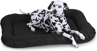 Produktbild von Silecomplaza Wasserfestes In und Outdoor Hundebett Lucky aus Nylongewebe XXL 118 x 85cm Schwarz - abnehmbarer Bezug - waschbar - für große, mittelgroße und kleine Hunde
