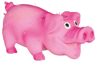 Immagine prodotto di Trixie BORSTENSCHWEIN 10cm in lattice