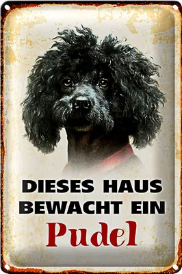 Produktbild von Blechschild Hund 20x30cm dieses Haus bewacht ein Pudel